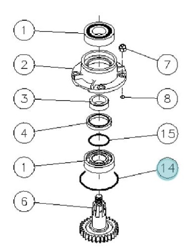 O-ring