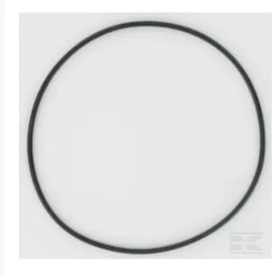 O-ring 1